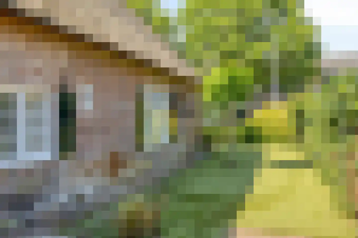 Mommersteeg 96 Haarsteeg thumbnail 6
