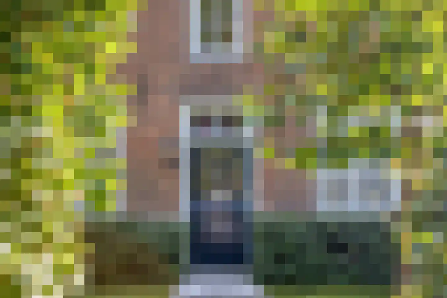 Mommersteeg 96 Haarsteeg thumbnail 7