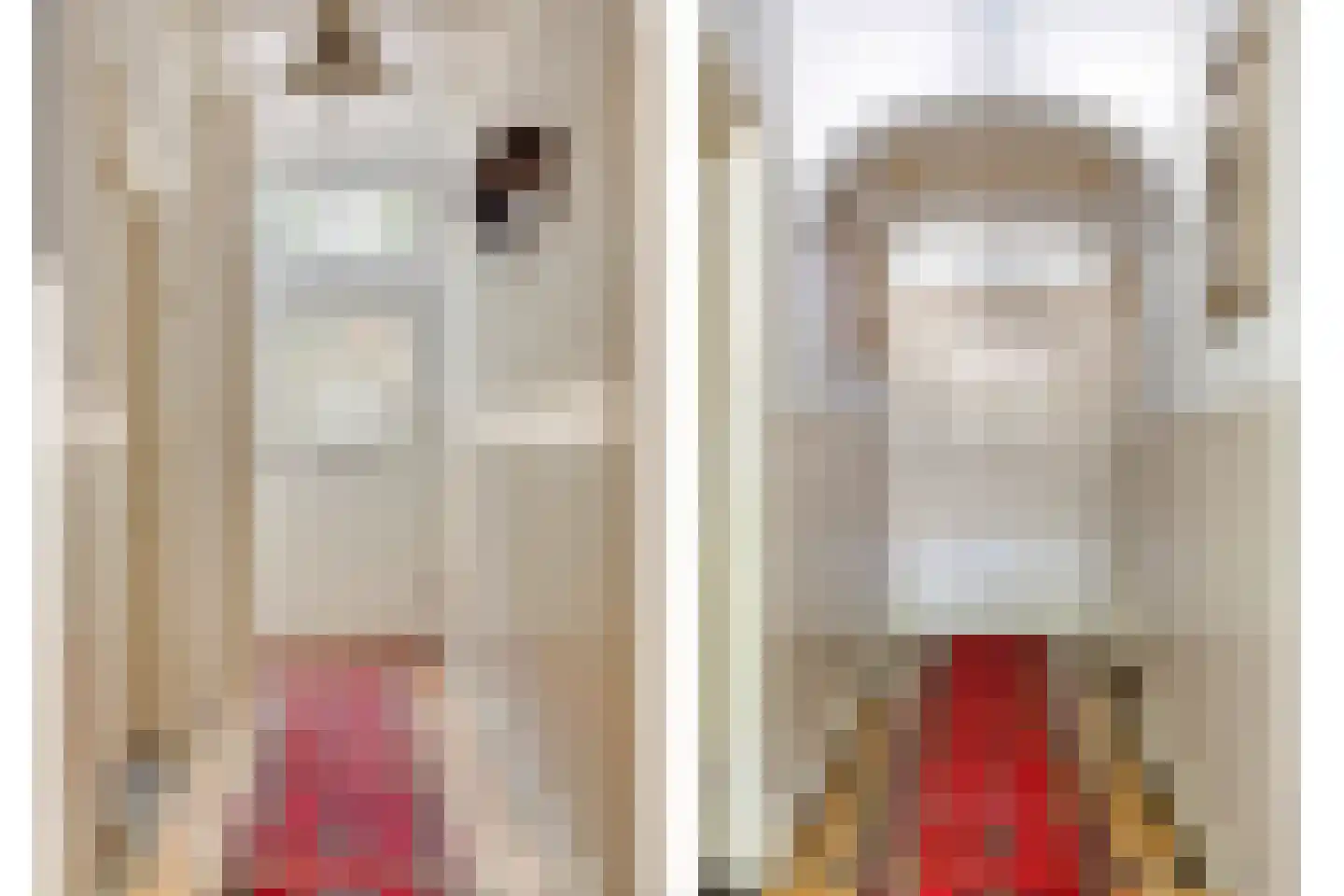 Mommersteeg 96 Haarsteeg thumbnail 8
