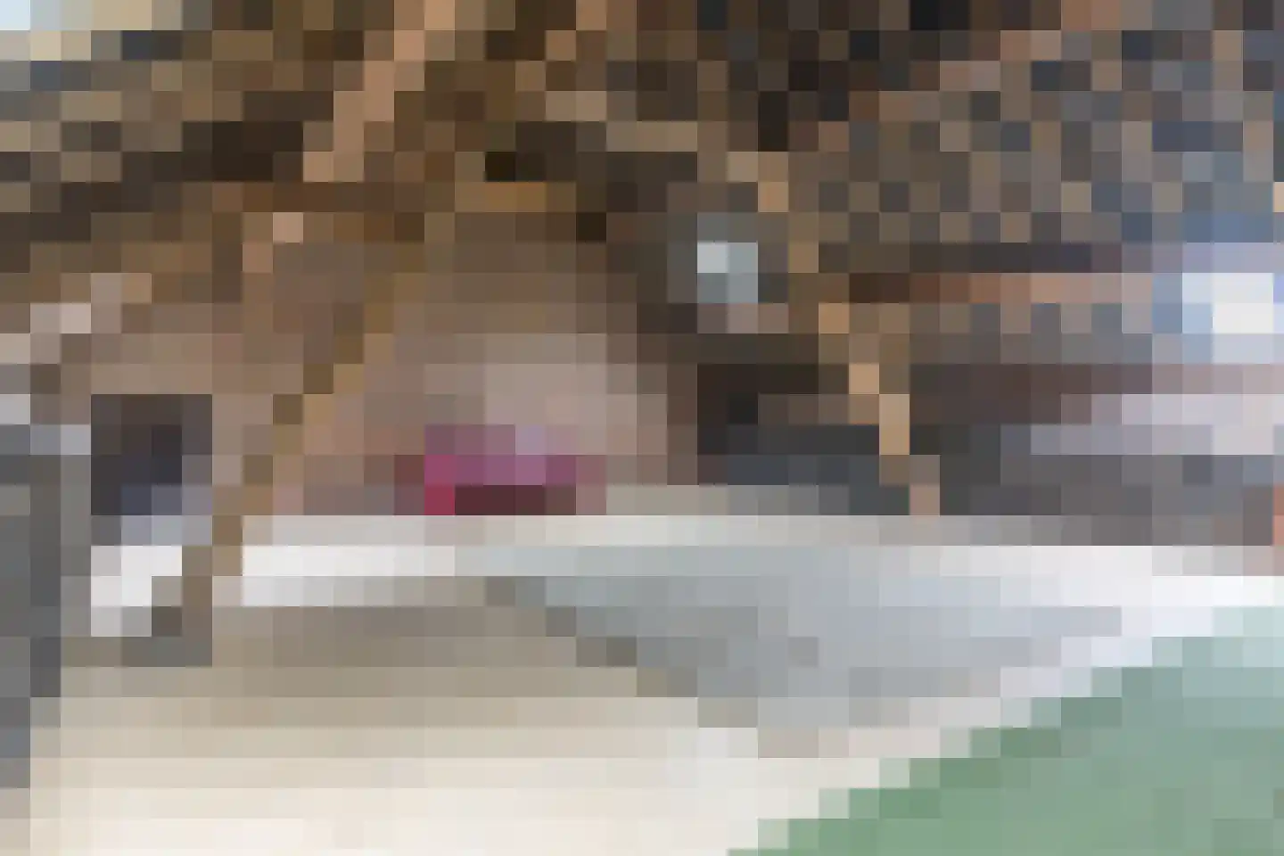 Mommerwegsken 1 Stein thumbnail 23