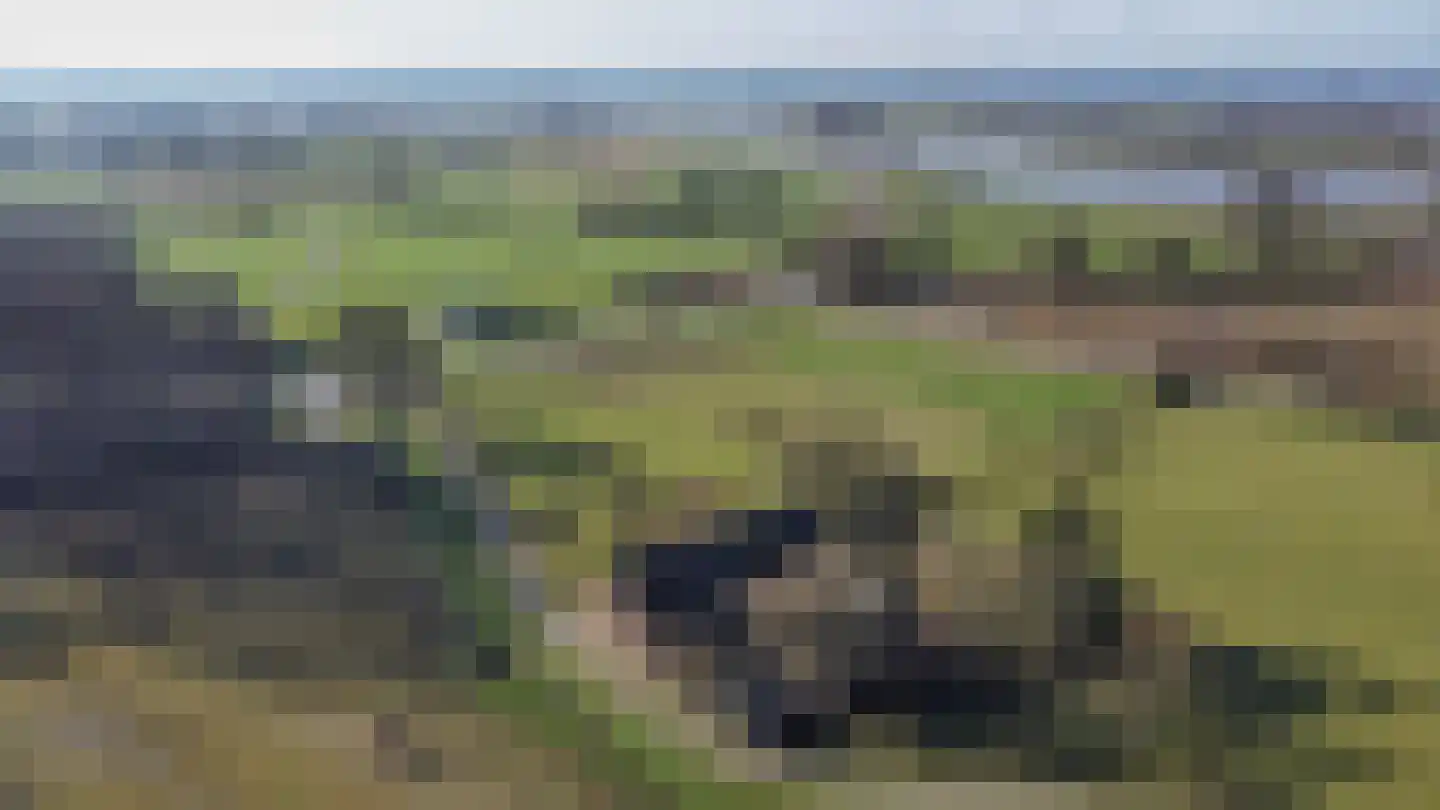 Mommerwegsken 1 Stein thumbnail 27