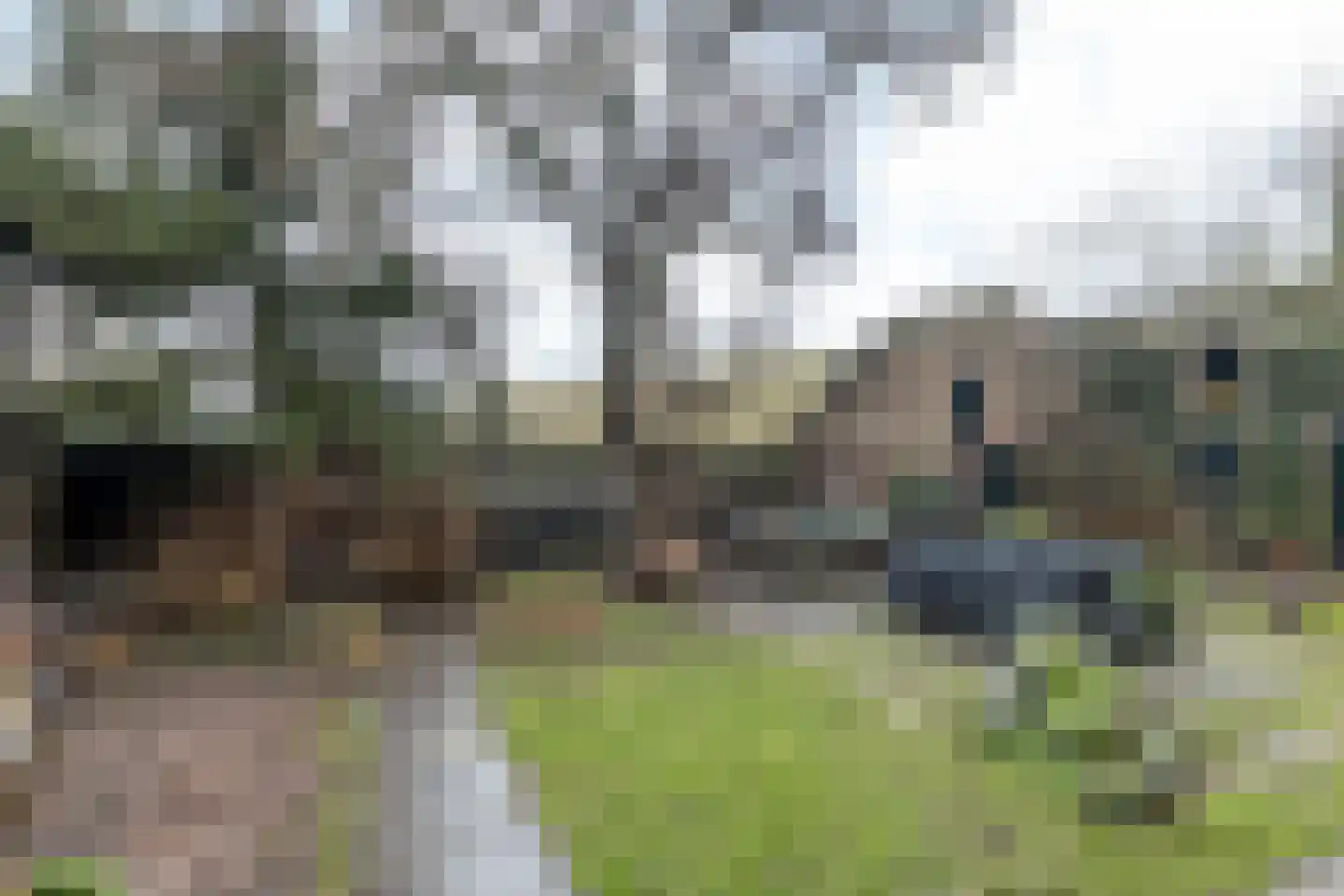 Mommerwegsken 1 Stein thumbnail 29