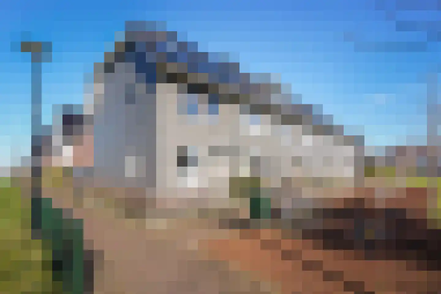 Monacokade 10 De Lier thumbnail 51