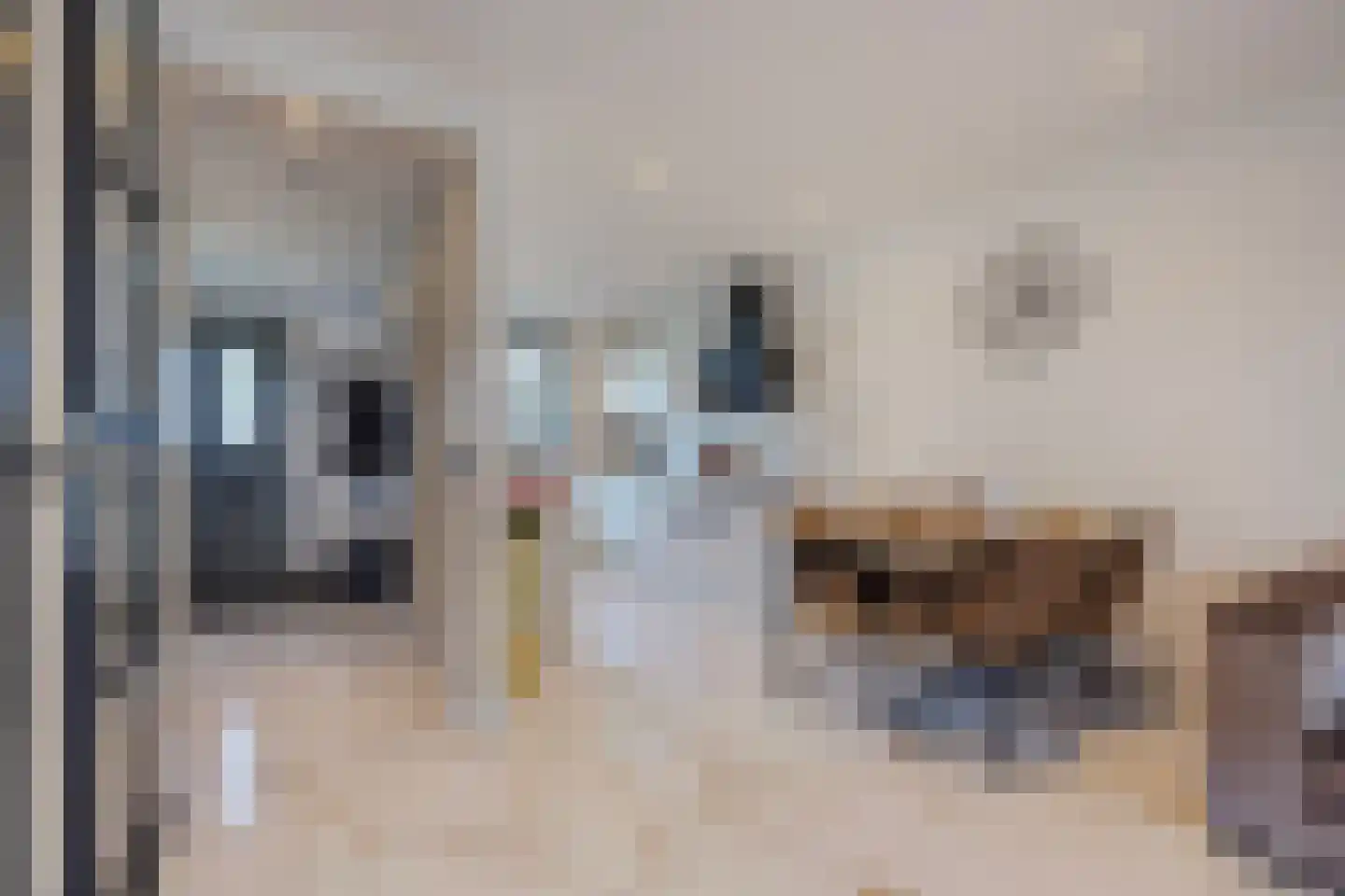 Monacokade 10 De Lier thumbnail 9