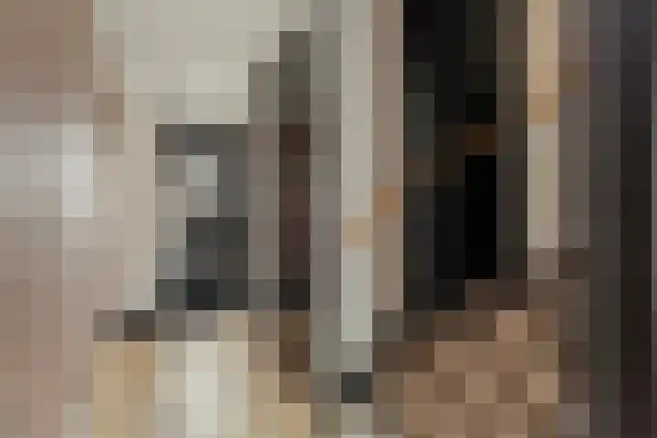 Monacokade 11 De Lier thumbnail 10