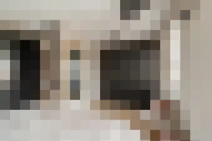 Monacokade 11 De Lier thumbnail 13
