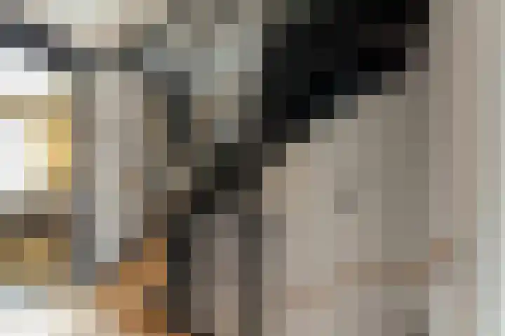 Monacokade 11 De Lier thumbnail 14