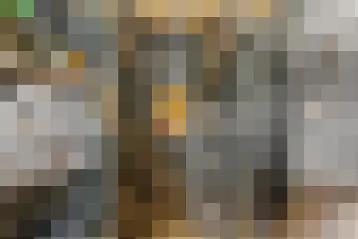Monacokade 11 De Lier thumbnail 16