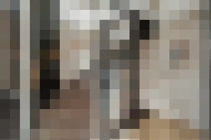 Monacokade 11 De Lier thumbnail 20