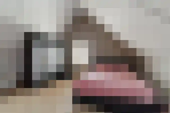 Monacokade 11 De Lier thumbnail 22