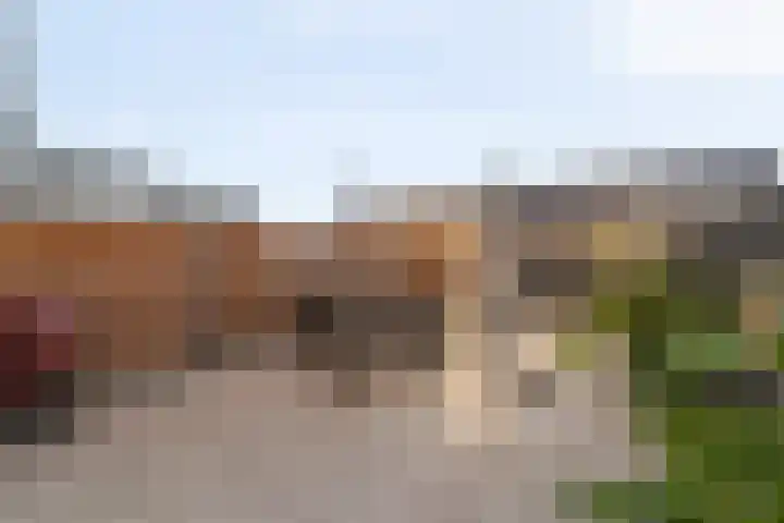 Monacokade 11 De Lier thumbnail 25
