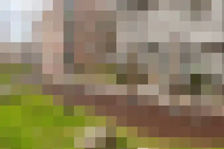 Monacokade 11 De Lier thumbnail 27