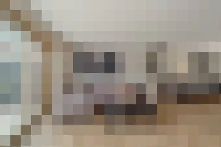 Monacokade 11 De Lier thumbnail 6
