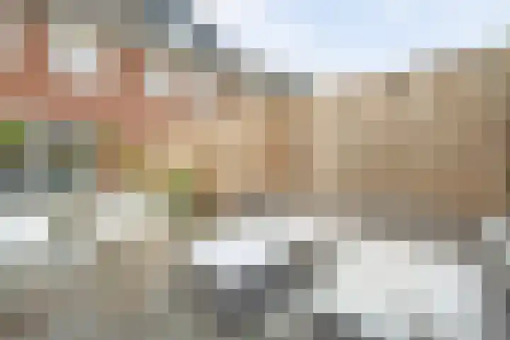 Monacokade 7 De Lier thumbnail 39