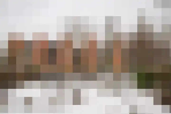 Monacopad 10 Haarlem thumbnail 41