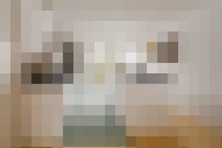 Monacopad 10 Haarlem thumbnail 5