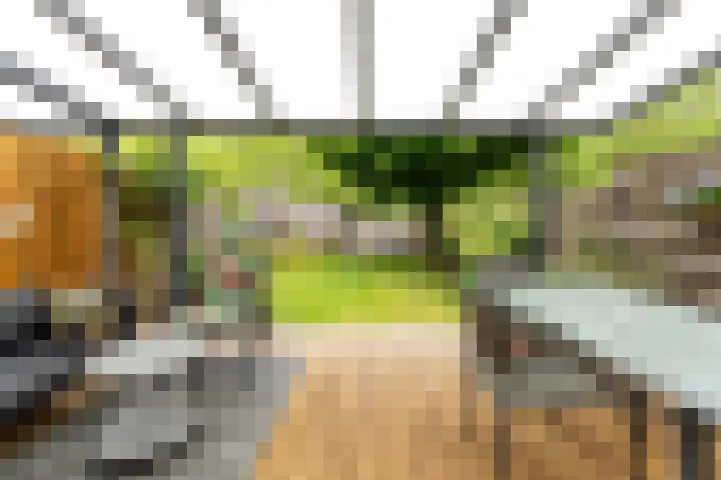 Monacoplein 10 Heerlen thumbnail 11