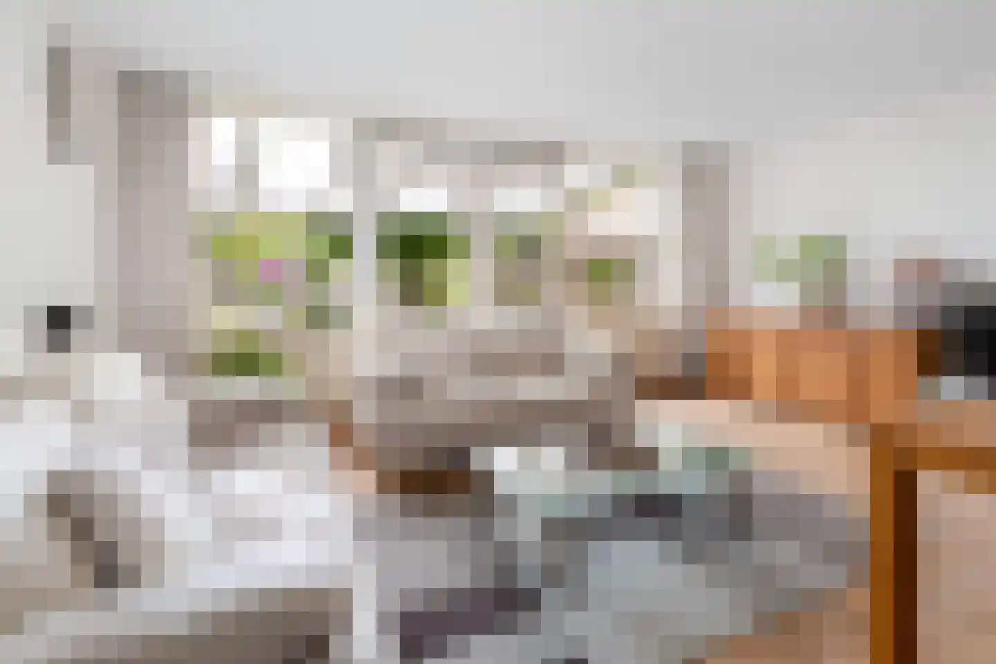 Monacoplein 10 Heerlen thumbnail 5