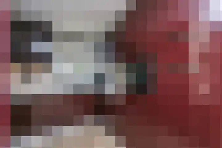 Monacoplein 21 Heerlen thumbnail 14