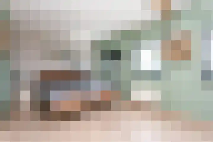 Monacoplein 21 Heerlen thumbnail 18