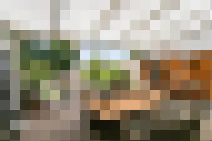 Monacoplein 21 Heerlen thumbnail 31