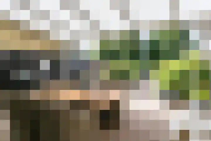 Monacoplein 21 Heerlen thumbnail 32