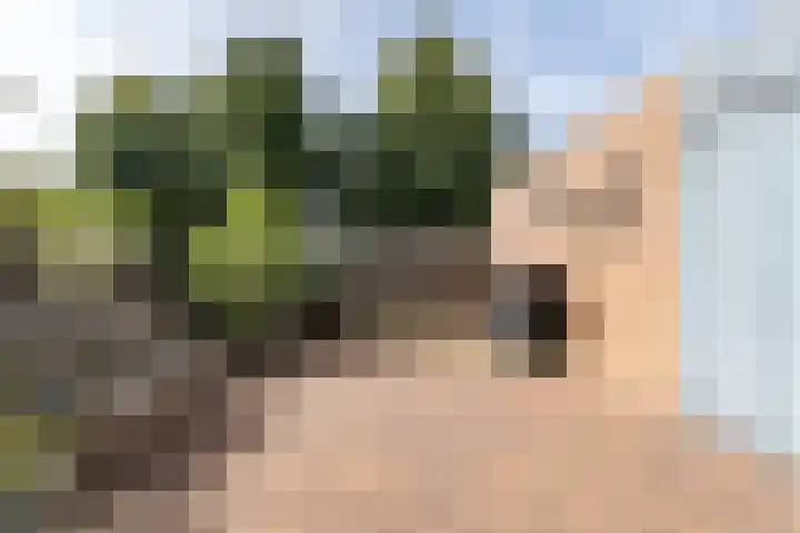 Monacoplein 21 Heerlen thumbnail 33