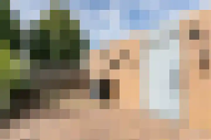 Monacoplein 21 Heerlen thumbnail 35