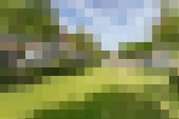 Monacoplein 21 Heerlen thumbnail 39