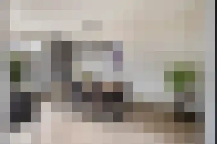 Monarchstraat 25 Eindhoven thumbnail 7