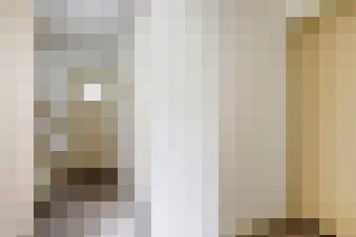 Monarchstraat 41 Eindhoven thumbnail 17
