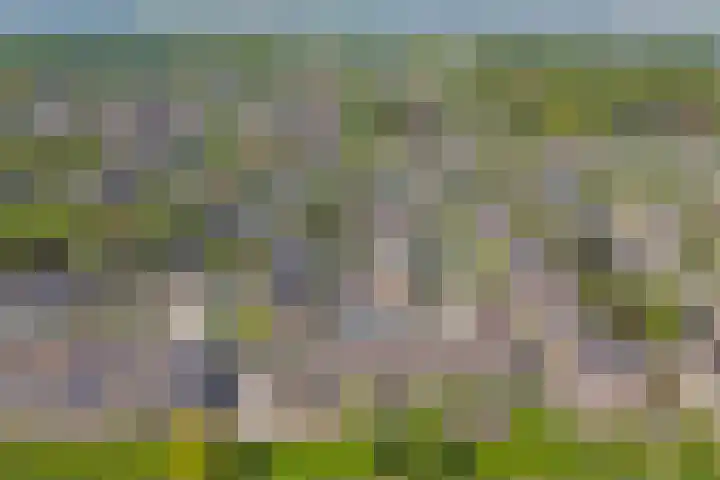 Monarchstraat 41 Eindhoven thumbnail 46