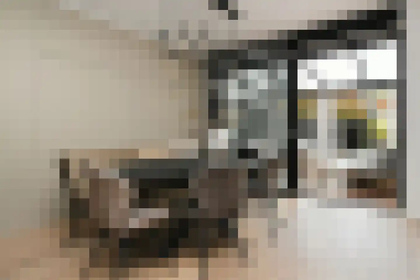 Monarchstraat 48 Eindhoven thumbnail 12