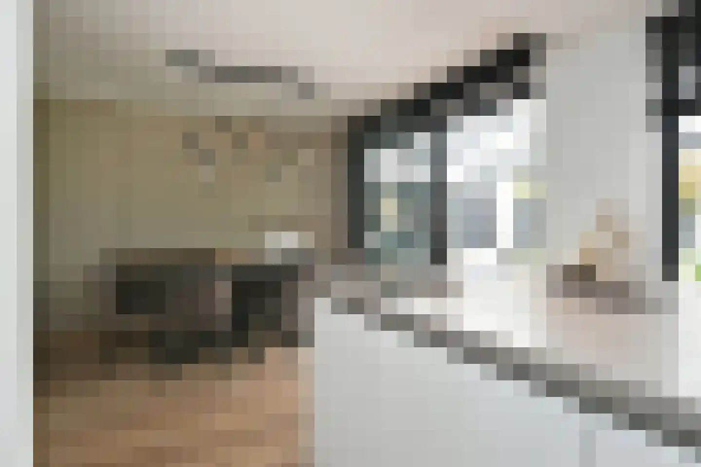 Monarchstraat 48 Eindhoven thumbnail 15
