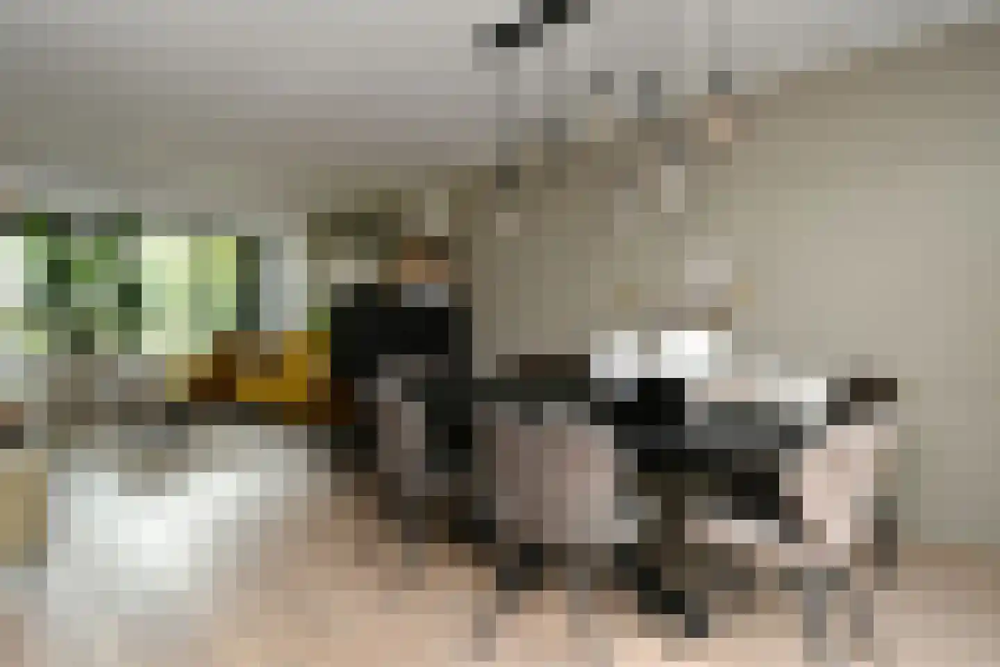 Monarchstraat 48 Eindhoven thumbnail 17