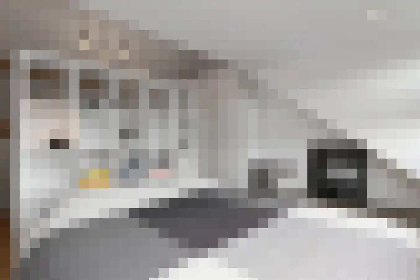 Monarchstraat 48 Eindhoven thumbnail 38