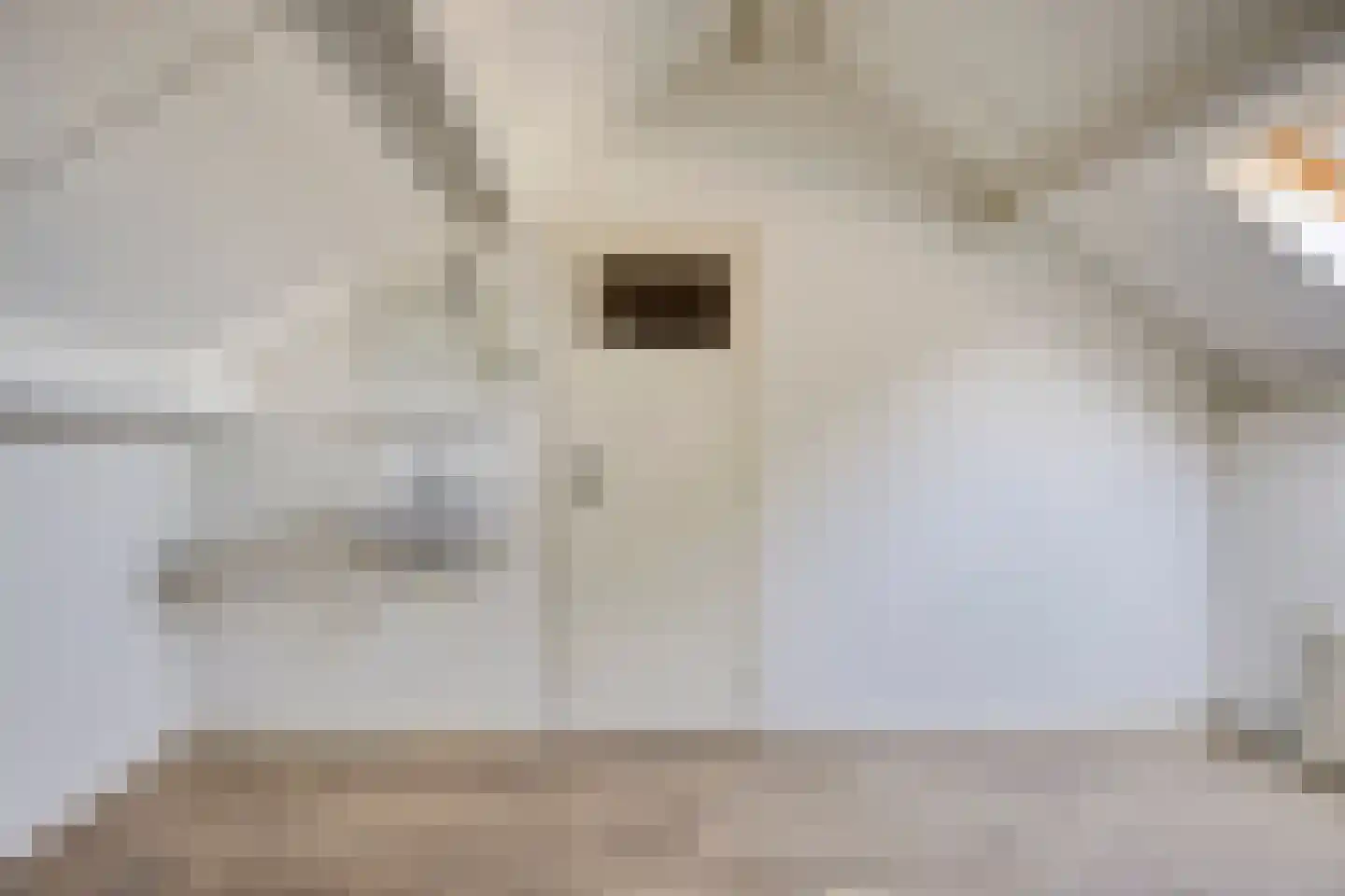Monarchstraat 9 Eindhoven thumbnail 33