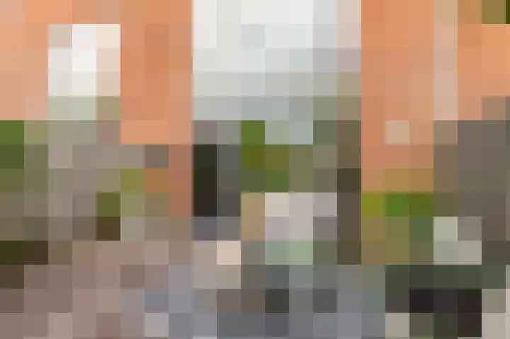 Monarchvlinderlaan 178 Utrecht thumbnail 13