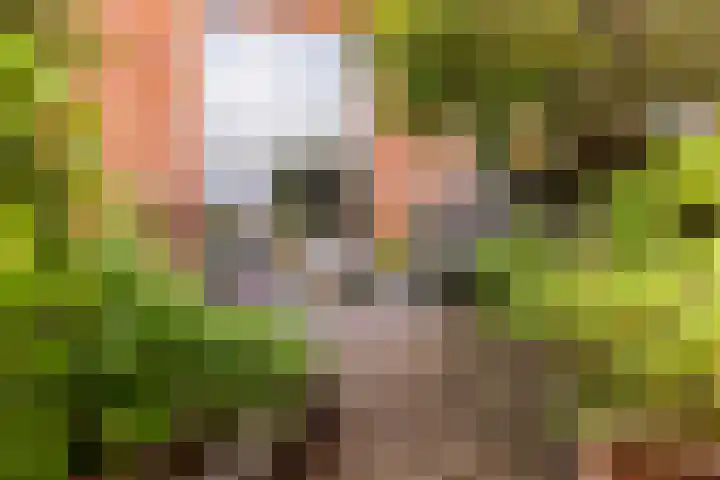 Monarchvlinderlaan 178 Utrecht thumbnail 14
