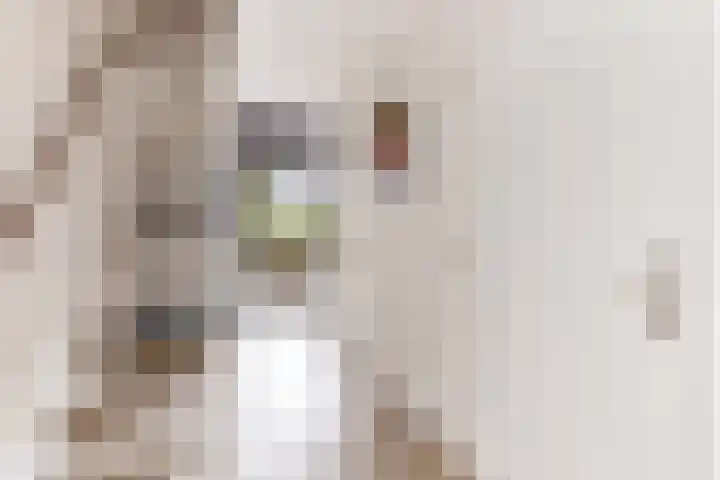 Monarchvlinderlaan 178 Utrecht thumbnail 4