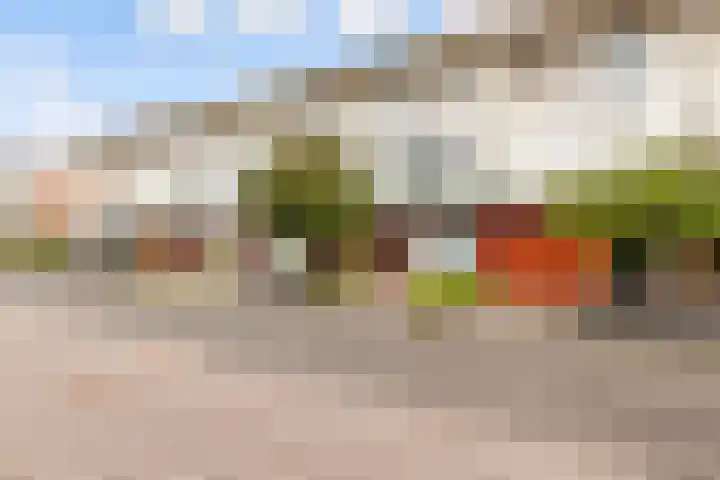 Monarchvlinderlaan 178 Utrecht thumbnail 54