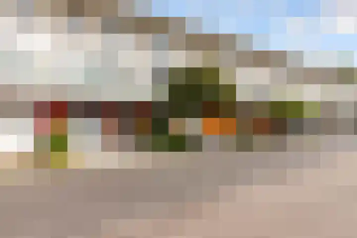 Monarchvlinderlaan 178 Utrecht thumbnail 55