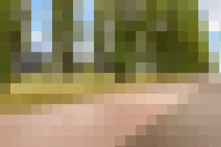 Monarchvlinderlaan 178 Utrecht thumbnail 58