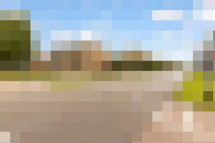 Monarchvlinderlaan 178 Utrecht thumbnail 59