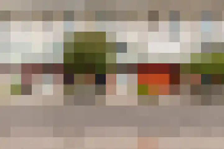 Monarchvlinderlaan 178 Utrecht thumbnail 65