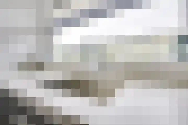 Monarchvlinderlaan 192 Utrecht thumbnail 24