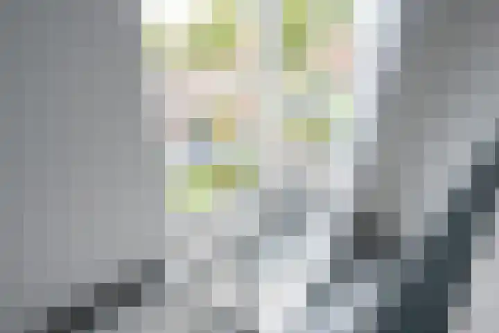 Monarchvlinderlaan 192 Utrecht thumbnail 32