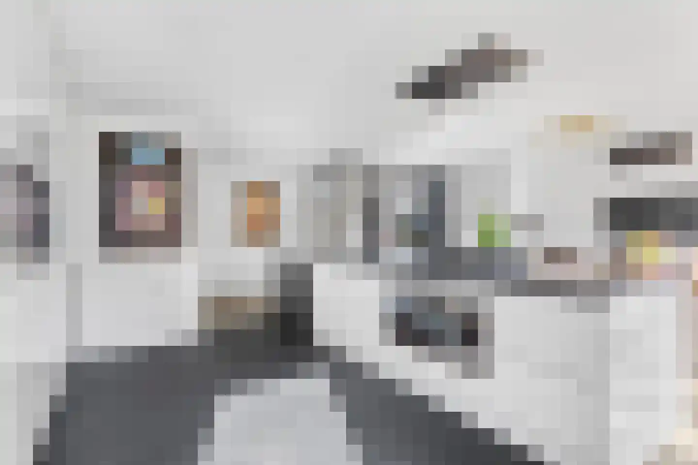 Monarchvlinderlaan 2 Culemborg thumbnail 16