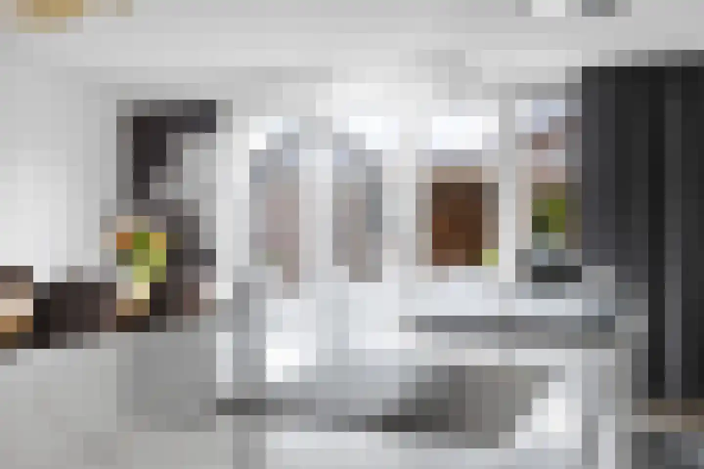 Monarchvlinderlaan 2 Culemborg thumbnail 23