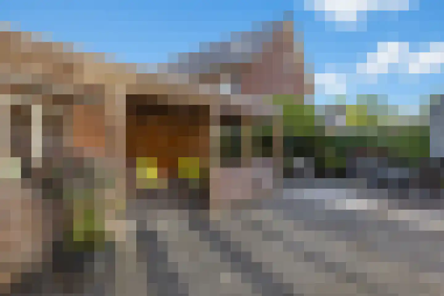 Monarchvlinderlaan 2 Culemborg thumbnail 26